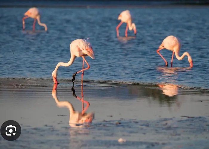 Fronte Mare S'arena Scoada * Putzu Idu